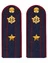Погоны ФСИН на куртку ПЛАСТИК, звание Майор 14х5,5см