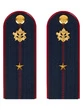 Погоны ФСИН на куртку ПЛАСТИК, звание Младший лейтенант 14х5,5см