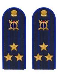 Погоны Юстиции на куртку ПЛАСТИК, звание Полковник 14х5,5см