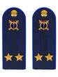 Погоны Юстиции на куртку ПЛАСТИК, звание Подполковник 14х5,5см