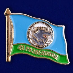Значок ВДВ "45 разведполк" № 8