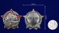 Знак "Герою октябрьских и январских событий 1917–1918 гг."