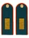 Погоны МЧС на китель ПЛАСТИК с фурнитурой звание Старшина