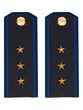 Погоны ФСБ на Китель синие картон звание Старший Прапорщик