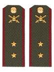 Погоны МО Сухопутные войска зеленые звание Прапорщик Картон