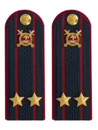 Погоны Полиции картон темно-синие Подполковник 13 см