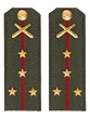 Погоны МО РВиА зеленые звание Капитан Картон