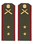 Погоны МО РВиА зеленые звание Прапорщик Картон