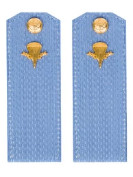 Погоны МО ВДВ голубые на рубашку Рядовой в сборе Картон