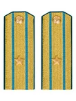 Погоны ВДВ, ВКС, ВВС парадные золотые с фурнитурой звание Майор Картон