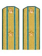 Погоны ВДВ, ВКС, ВВС парадные золотые с фурнитурой звание Майор Картон