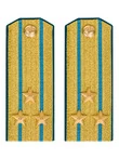 Погоны ВДВ, ВКС, ВВС парадные золотые с фурнитурой на Китель звание Полковник Картон