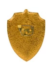 Нагрудный знак Начальник караула ВВ МВД СССР оригинал с хранения