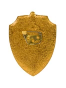 Нагрудный знак Начальник караула ВВ МВД СССР оригинал с хранения