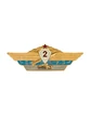 Знак классности офицерский общевойсковой "2 класс" СССР
