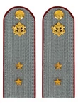 Погоны ФСИН серые на рубашку ПЛАСТИК (в сборе) звание Прапорщик