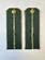 Погоны Таможенной службы на китель темно-зеленые картон звание Младший Лейтенант
