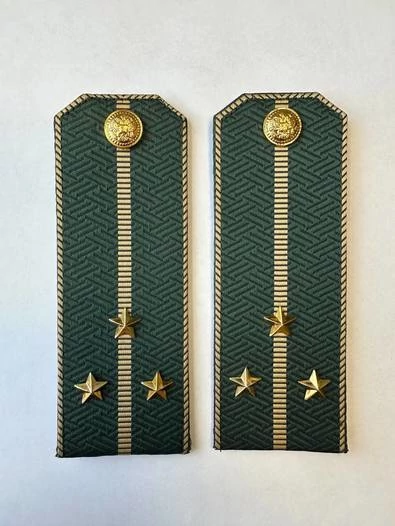 Погоны Таможенной службы на китель темно-зеленые картон звание Старший Лейтенант