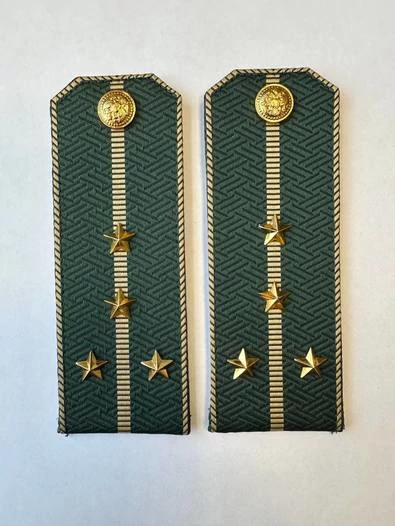 Погоны Таможенной службы на китель темно-зеленые картон звание Капитан