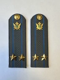 Погоны ФССП с фурнитурой серые звание Подполковник картон 14х4,5см