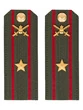 Погоны МО Сухопутные войска зеленые звание Майор Картон