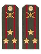 Погоны МО Сухопутные войска зеленые звание Полковник Картон