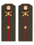 Погоны МО Сухопутные войска зеленые звание Младший Лейтенант Пластик