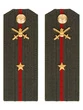 Погоны МО Сухопутные войска зеленые звание Младший Лейтенант Пластик