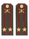 Погоны МО Сухопутные войска зеленые звание Подполковник ПЛАСТИК