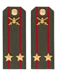 Погоны МО Сухопутные войска зеленые звание Подполковник ПЛАСТИК