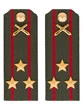 Погоны МО РВиА зеленые звание Полковник Картон