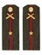 Погоны МО РВиА зеленые звание Младший Лейтенант ПЛАСТИК