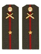 Погоны МО РВиА зеленые звание Младший Лейтенант ПЛАСТИК