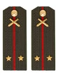 Погоны МО РВиА зеленые звание Лейтенант ПЛАСТИК