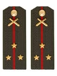 Погоны МО РВиА зеленые звание Старший Лейтенант ПЛАСТИК