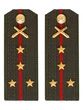 Погоны МО РВиА зеленые звание Капитан ПЛАСТИК