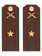 Погоны МО РВиА зеленые звание Майор ПЛАСТИК