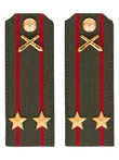 Погоны МО РВиА зеленые звание Подполковник ПЛАСТИК