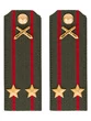 Погоны МО РВиА зеленые звание Подполковник ПЛАСТИК