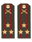 Погоны МО РВиА зеленые звание Полковник ПЛАСТИК
