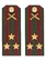 Погоны МО РВиА зеленые звание Полковник ПЛАСТИК