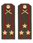 Погоны МО РВиА зеленые звание Полковник ПЛАСТИК