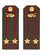 Погоны МО Танковые войска зеленые звание Подполковник Картон