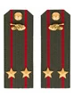 Погоны МО Танковые войска зеленые звание Подполковник Картон