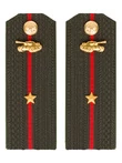 Погоны МО Танковые войска зеленые звание Младший Лейтенант ПЛАСТИК