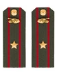 Погоны МО Танковые войска зеленые звание Майор ПЛАСТИК