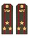 Погоны МО Танковые войска зеленые звание Полковник ПЛАСТИК