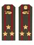 Погоны МО Танковые войска зеленые звание Полковник ПЛАСТИК