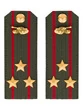 Погоны МО Танковые войска зеленые звание Полковник ПЛАСТИК