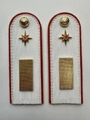 Погоны МЧС белые на рубашку Старшина Картон